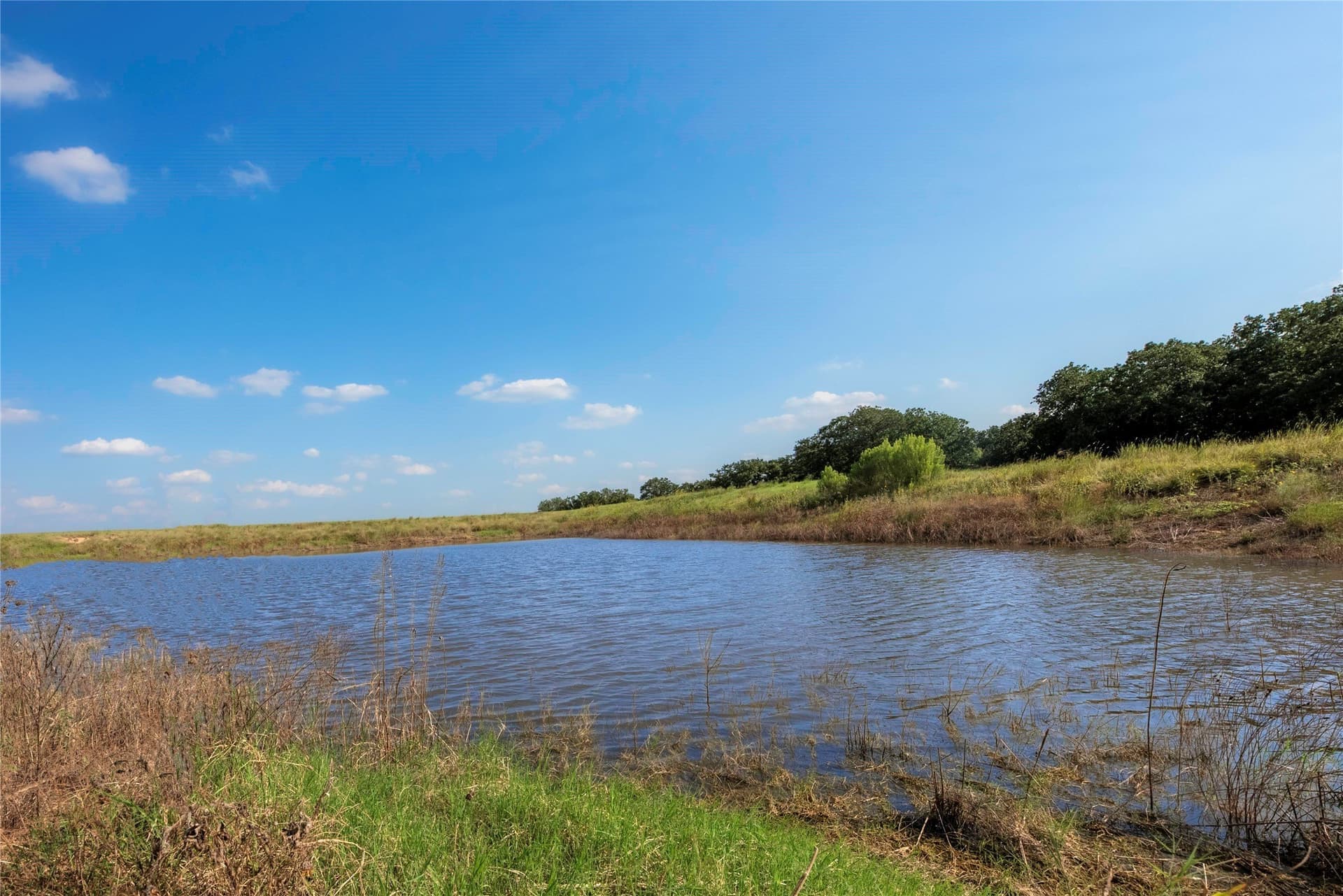 466.52 acres in Coryell County - photo 28