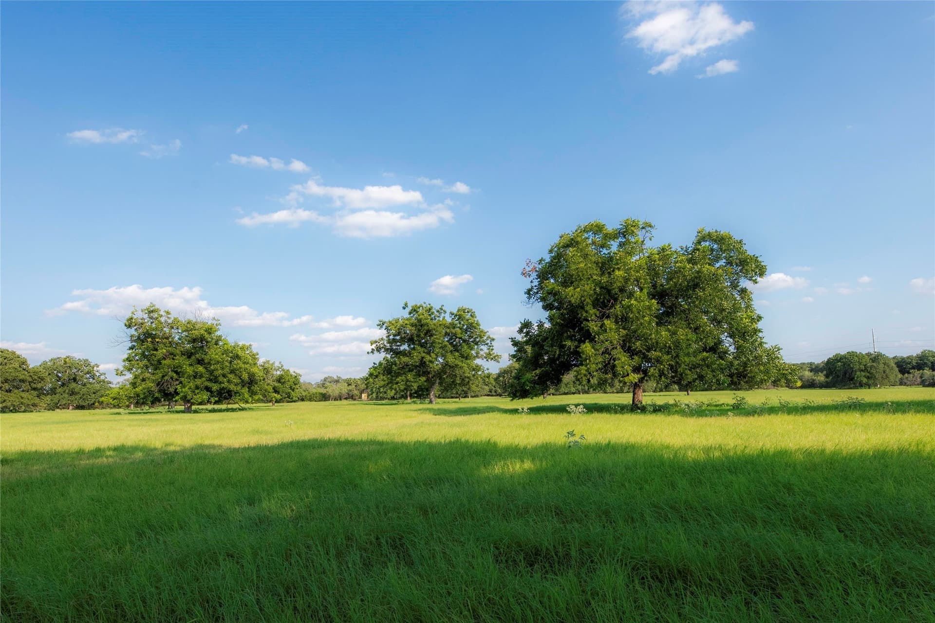 466.52 acres in Coryell County - photo 26