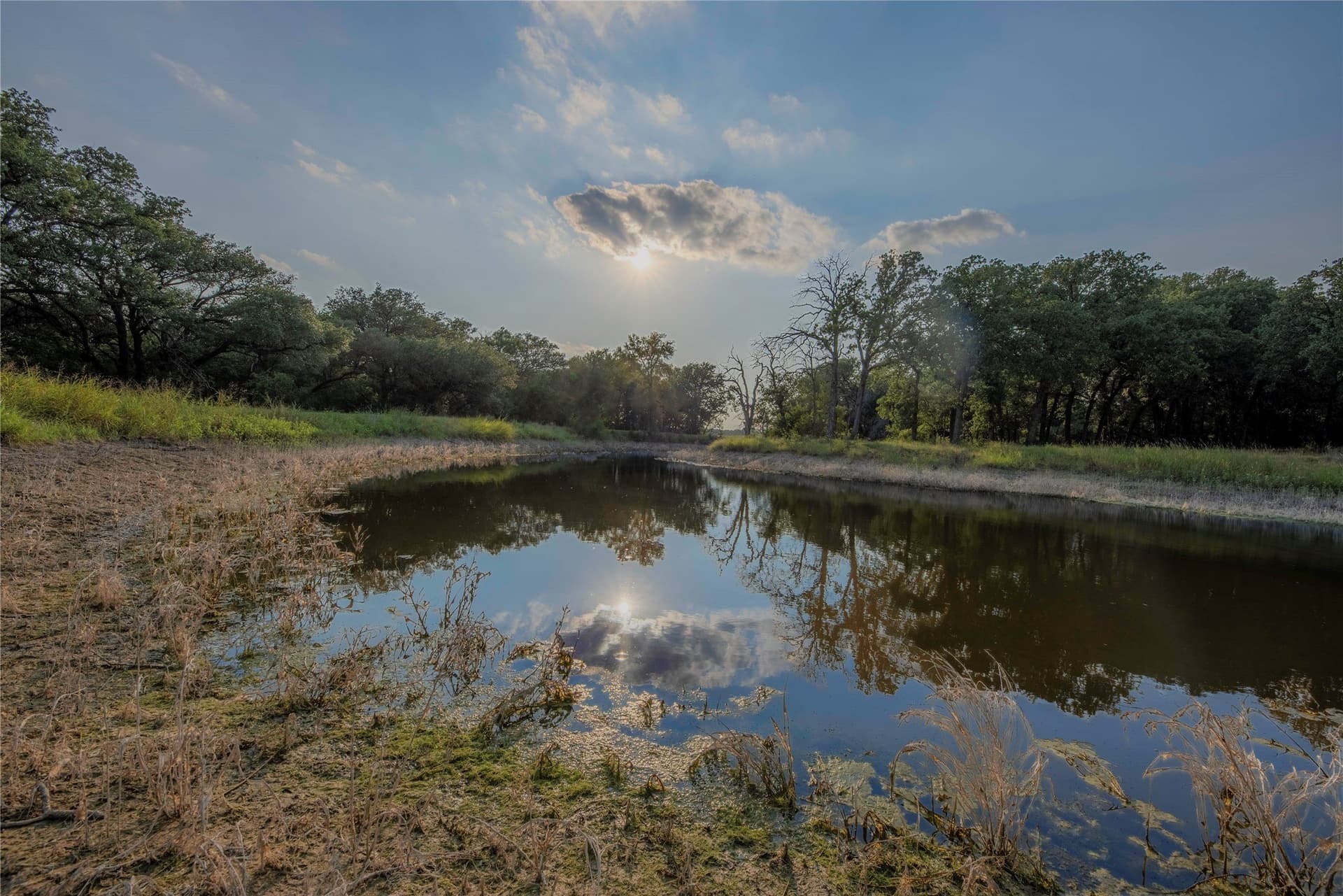 466.52 acres in Coryell County - photo 39