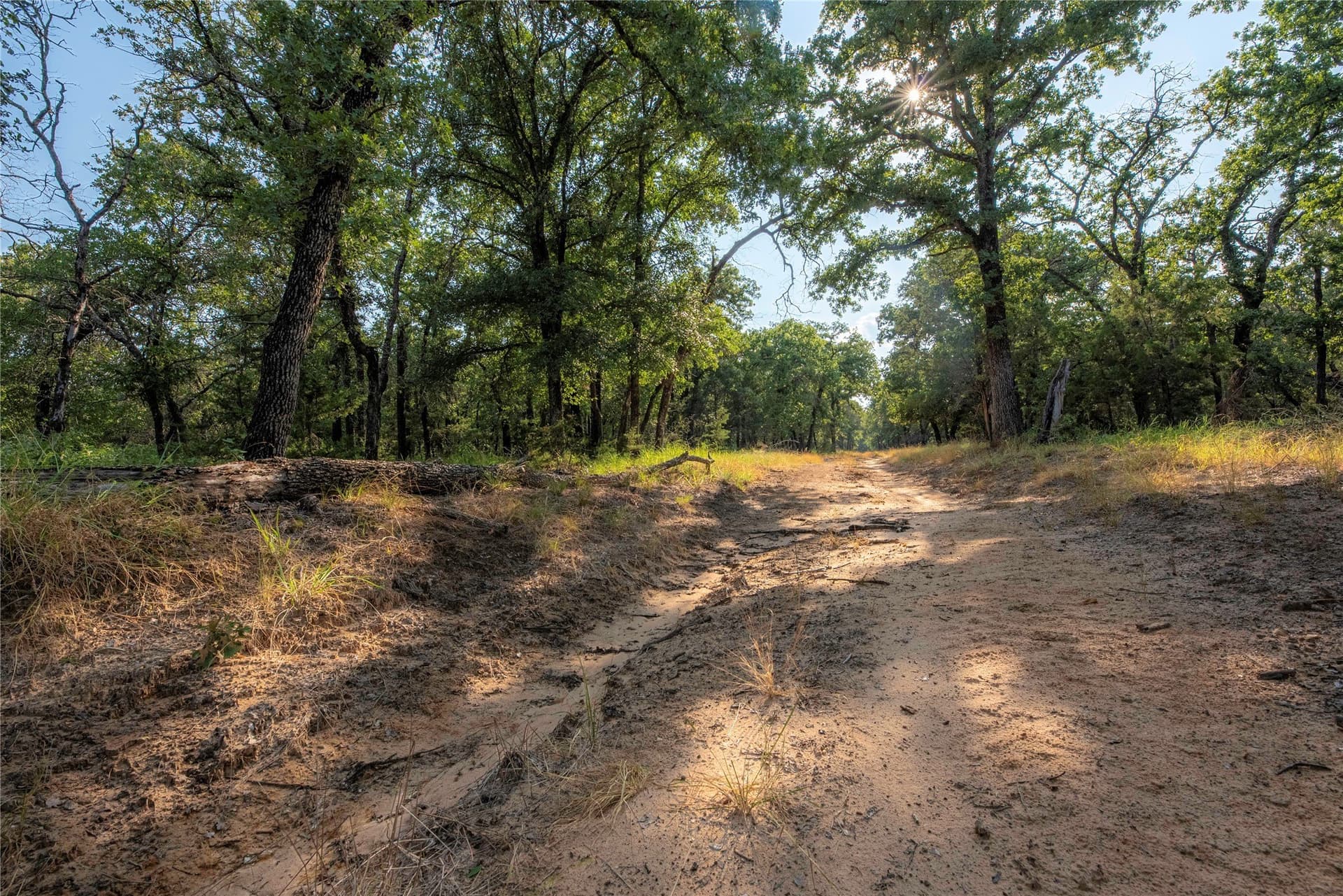 466.52 acres in Coryell County - photo 31