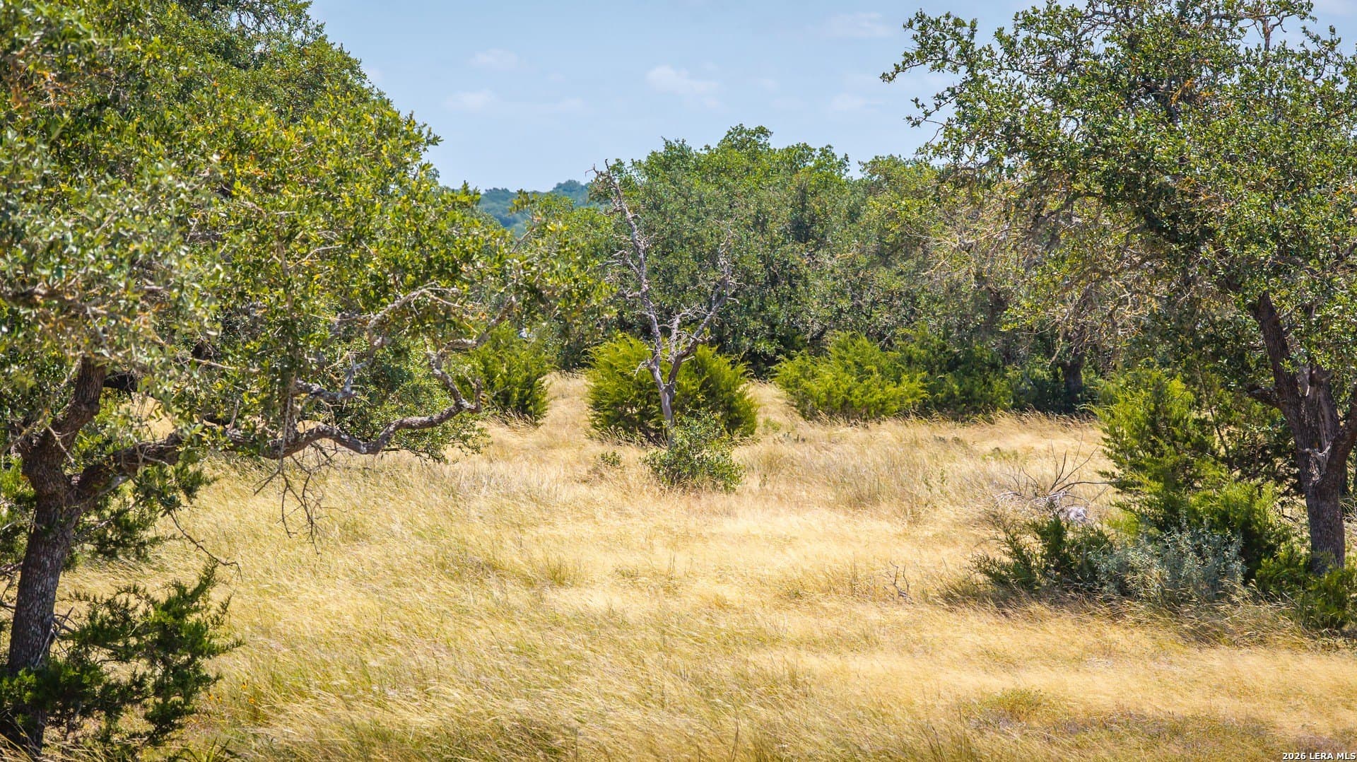12 acres in Kerr County - photo 31