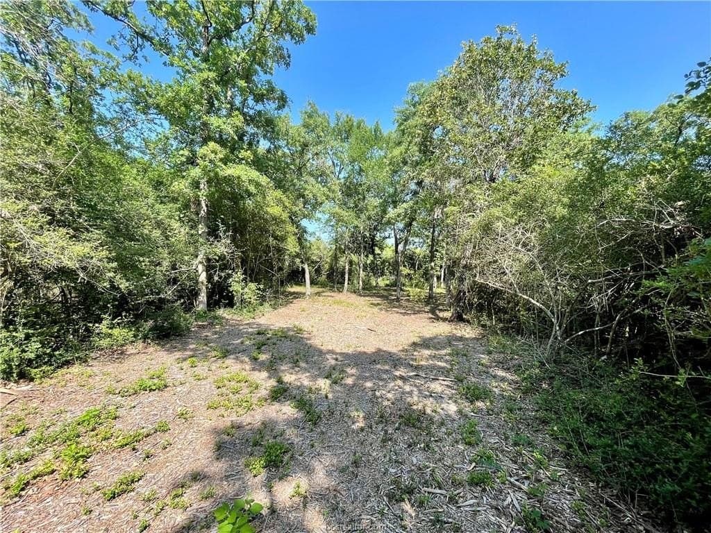 1.43 acres in Leon County featured view