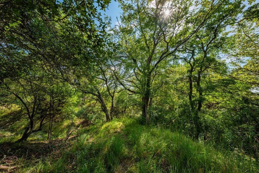 200 acres in Kendall County - photo 28