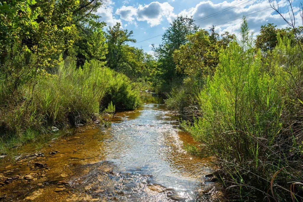 200 acres in Kendall County - photo 18
