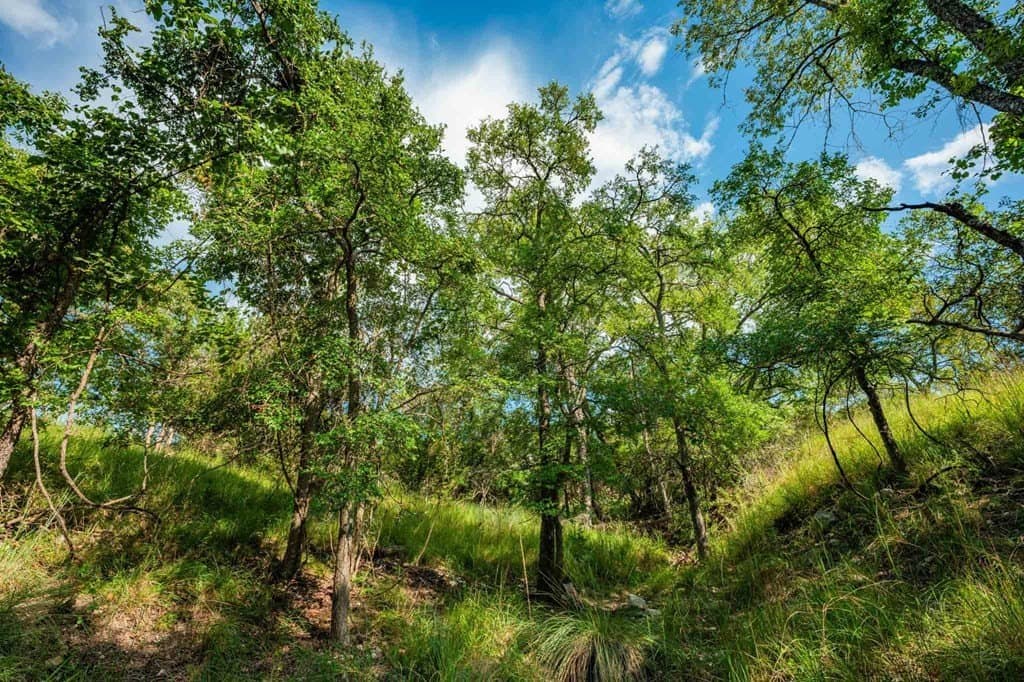 200 acres in Kendall County - photo 15