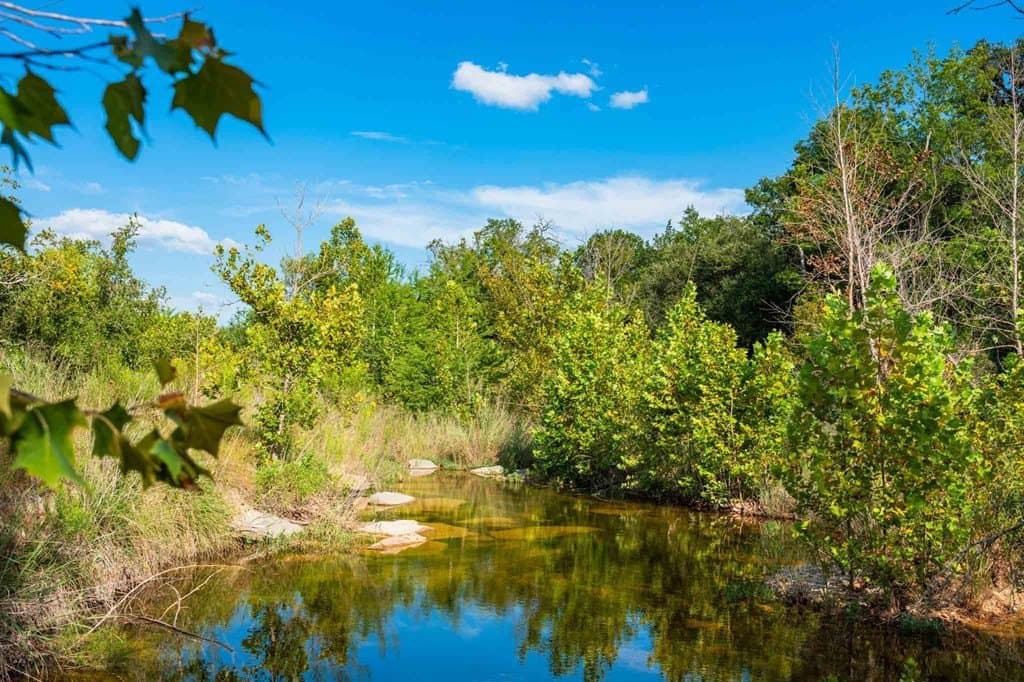 200 acres in Kendall County - photo 19