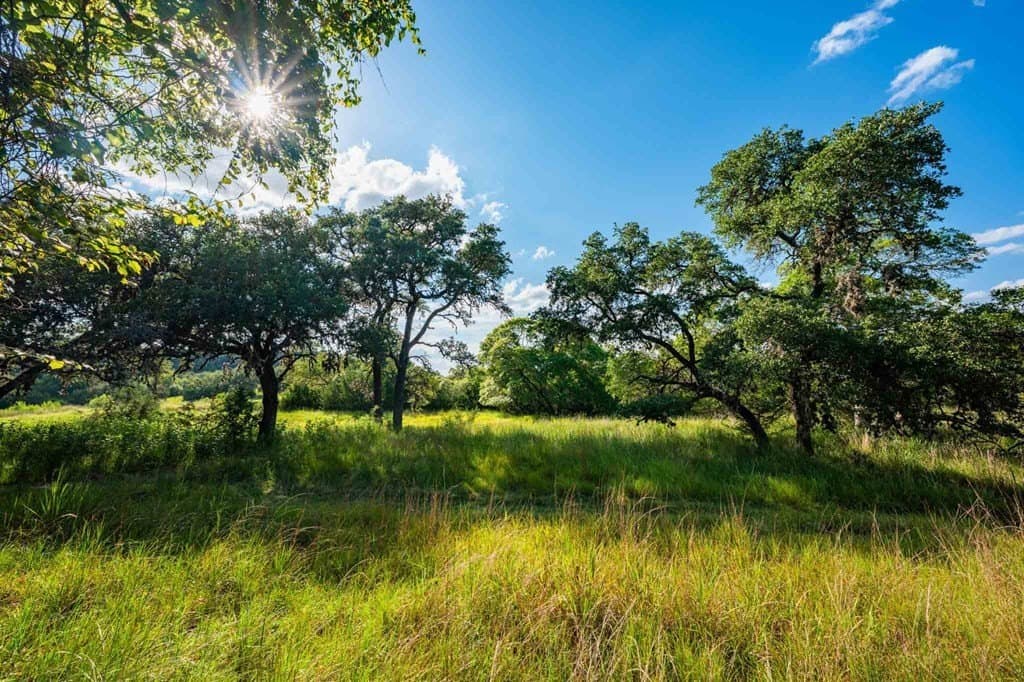 200 acres in Kendall County - photo 27