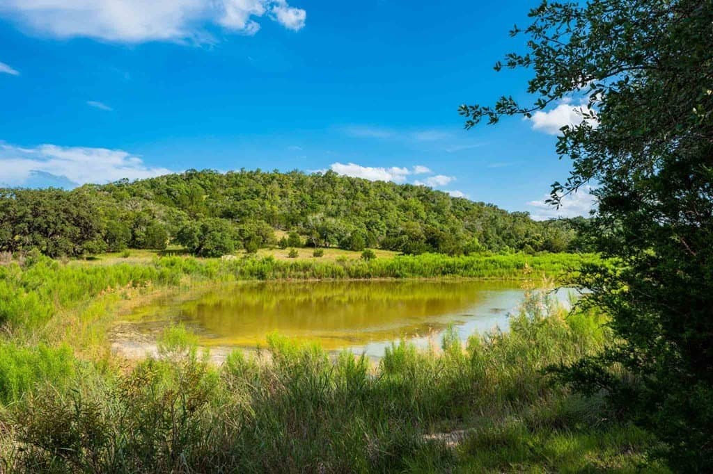 200 acres in Kendall County - photo 17