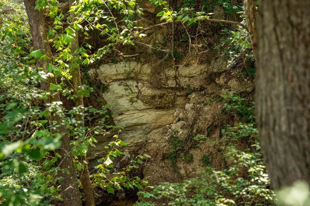 200 acres in Kendall County - photo 22