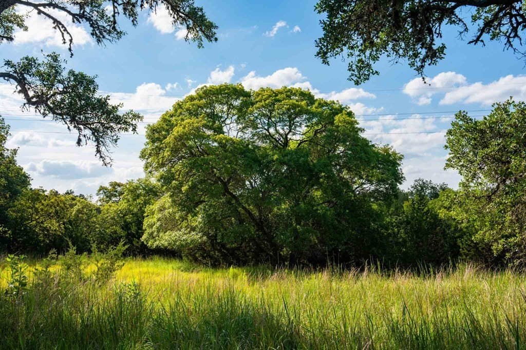 200 acres in Kendall County - photo 24