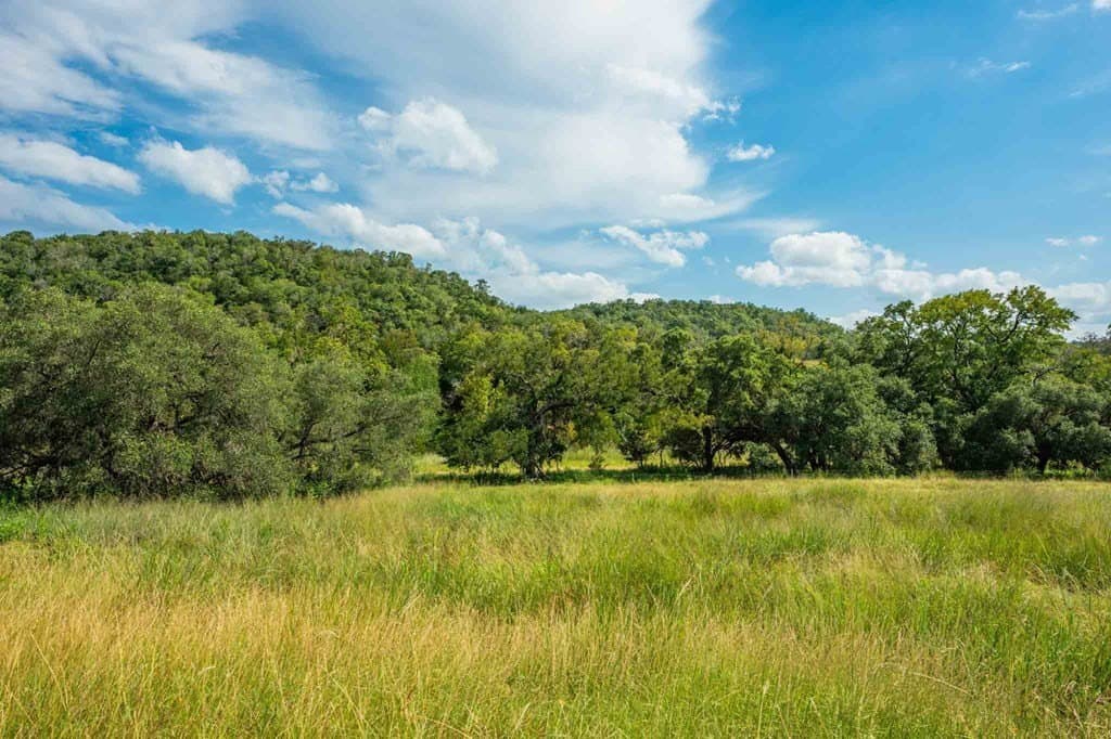 200 acres in Kendall County - photo 11