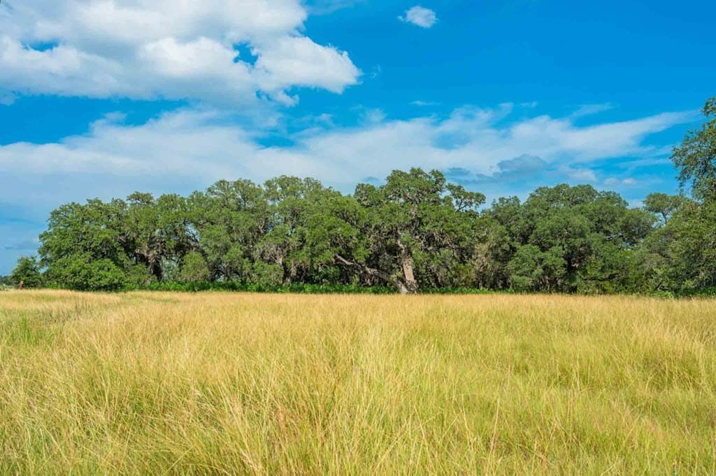 200 acres in Kendall County - photo 10