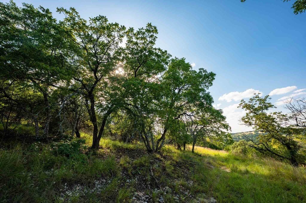 200 acres in Kendall County - photo 25