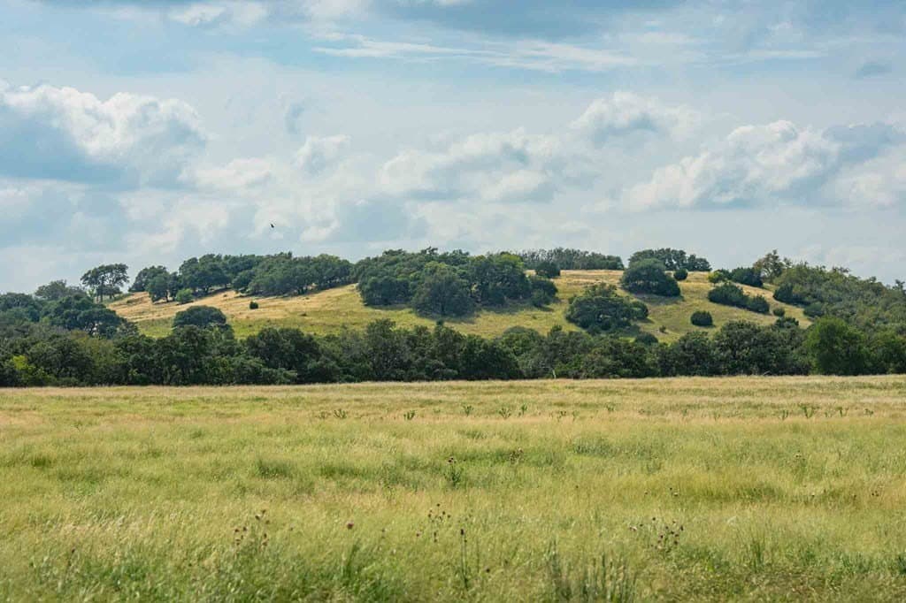 200 acres in Kendall County - photo 26