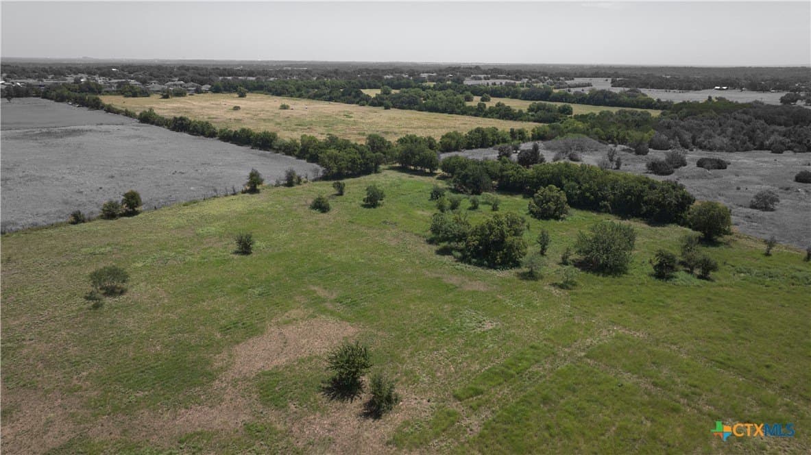 81.13 acres in Bell County gallery image 2