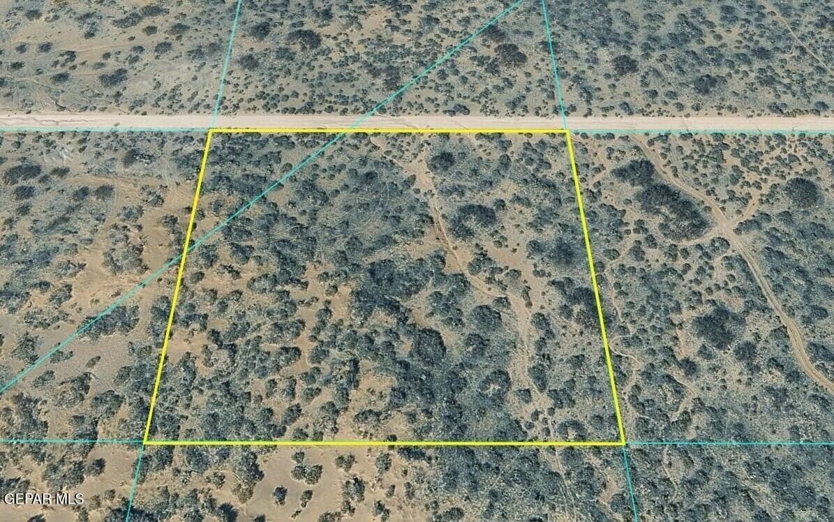 2.5 acres in El Paso County - photo 4