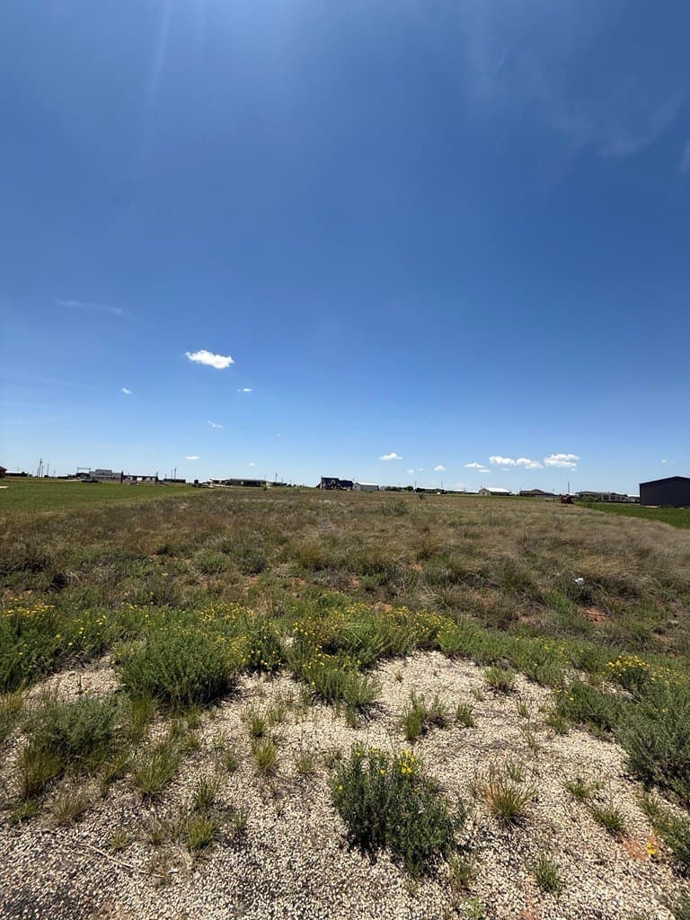 2 acres in Gaines County gallery image 4
