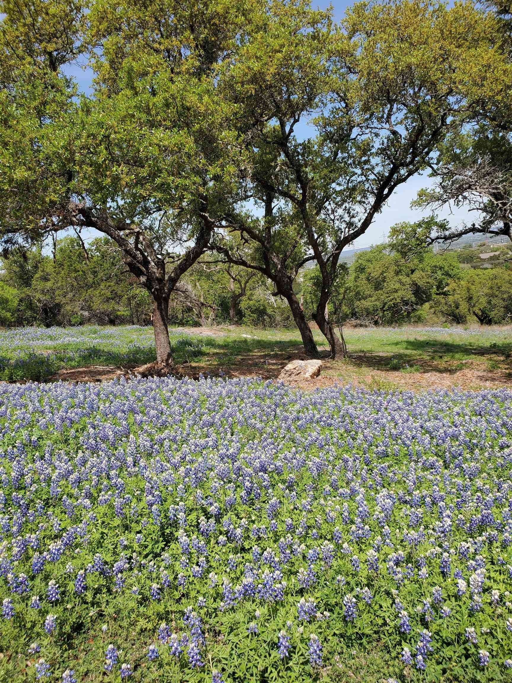 0.55 acres in Burnet County gallery image 2