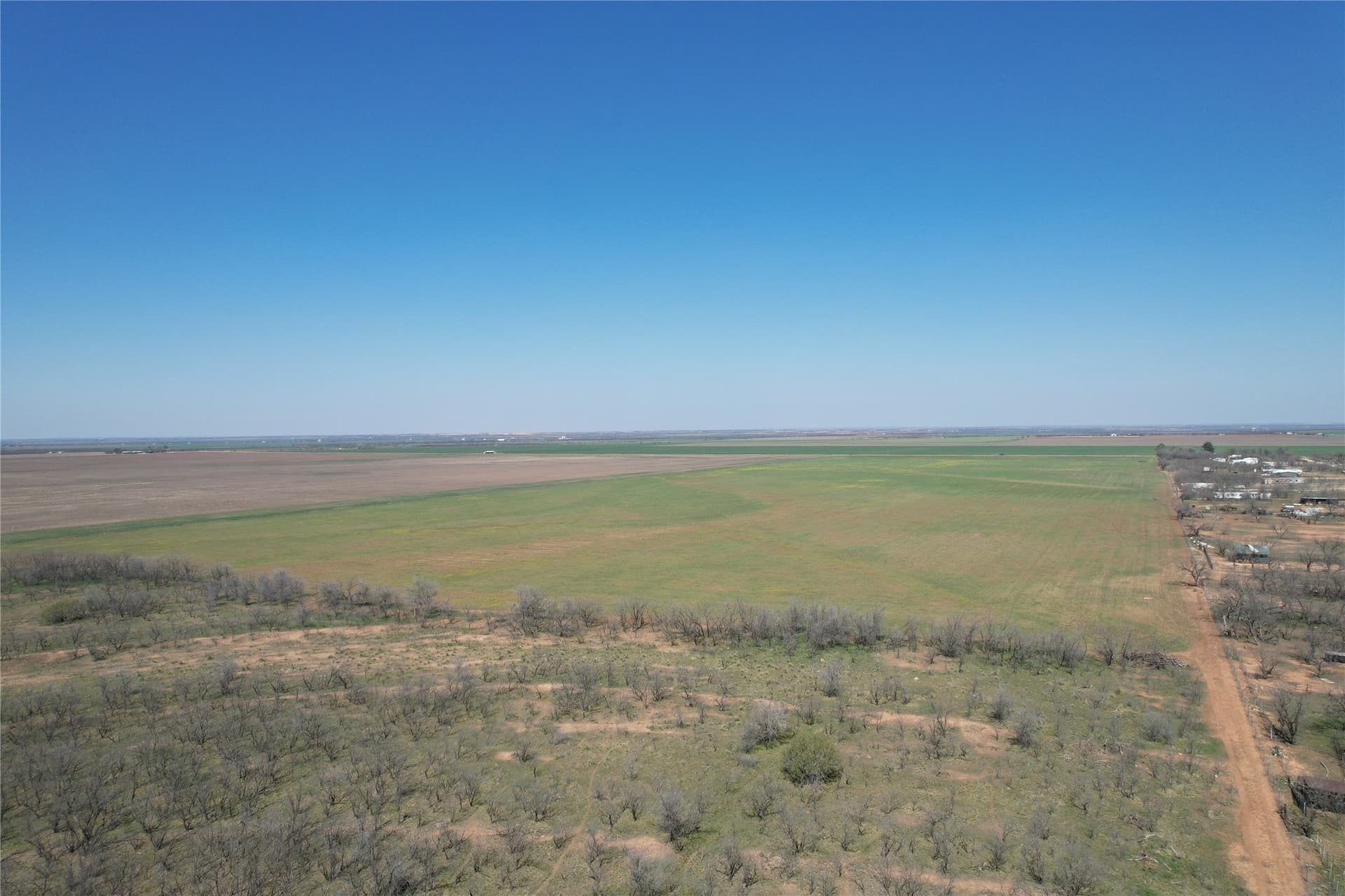 128.09 acres in Taylor County - photo 13
