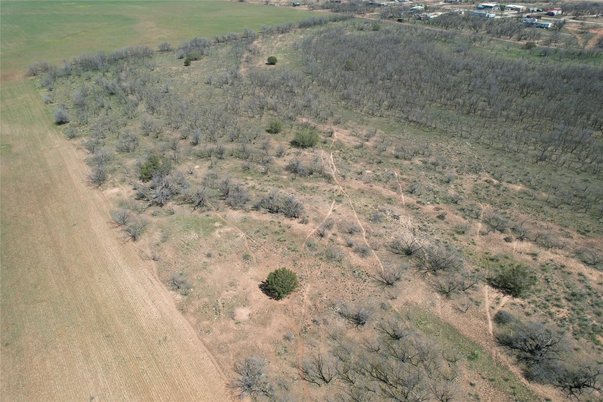 128.09 acres in Taylor County - photo 7