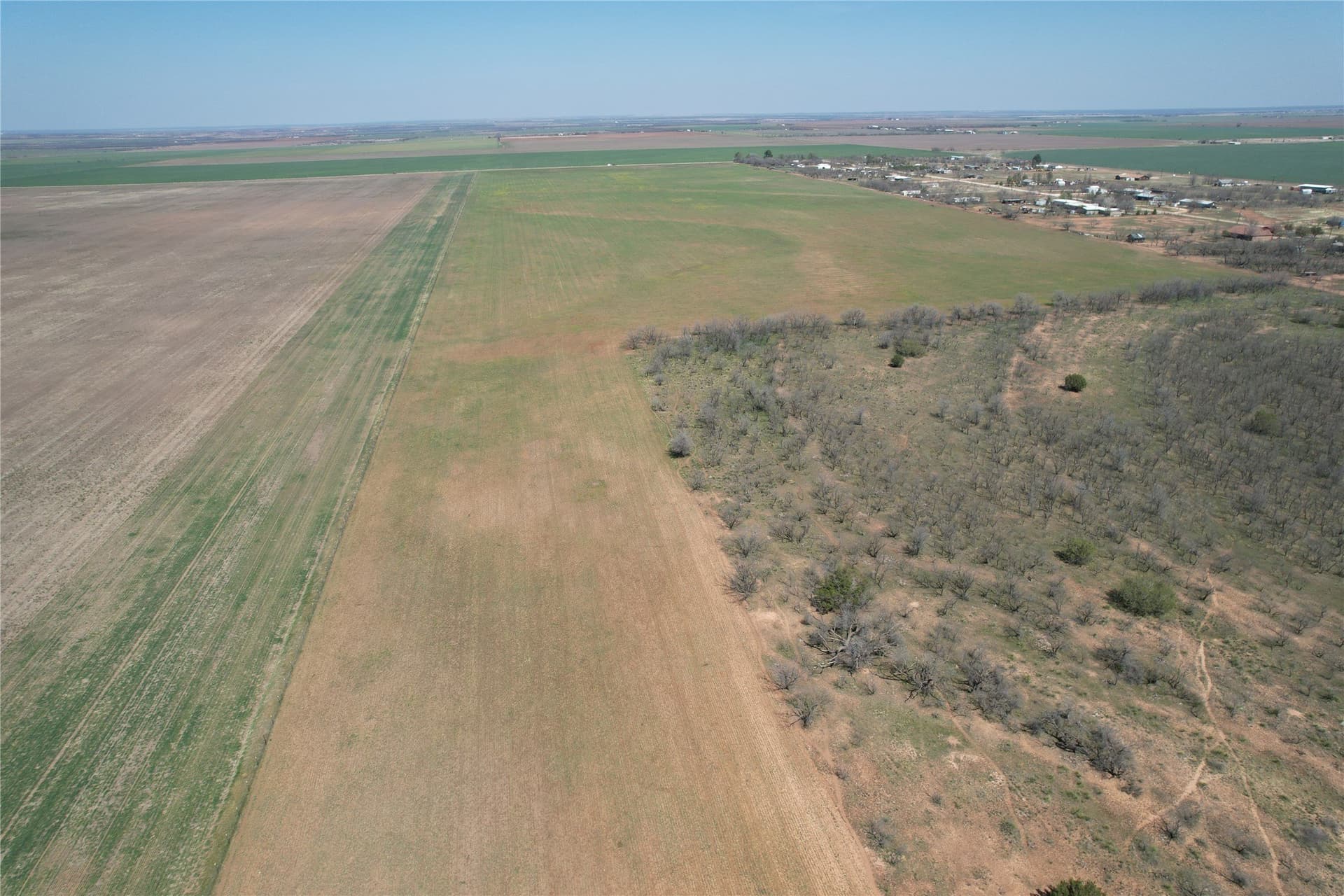 128.09 acres in Taylor County - photo 2