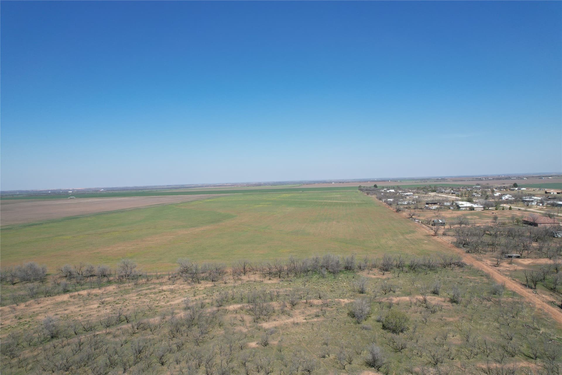 128.09 acres in Taylor County - photo 12