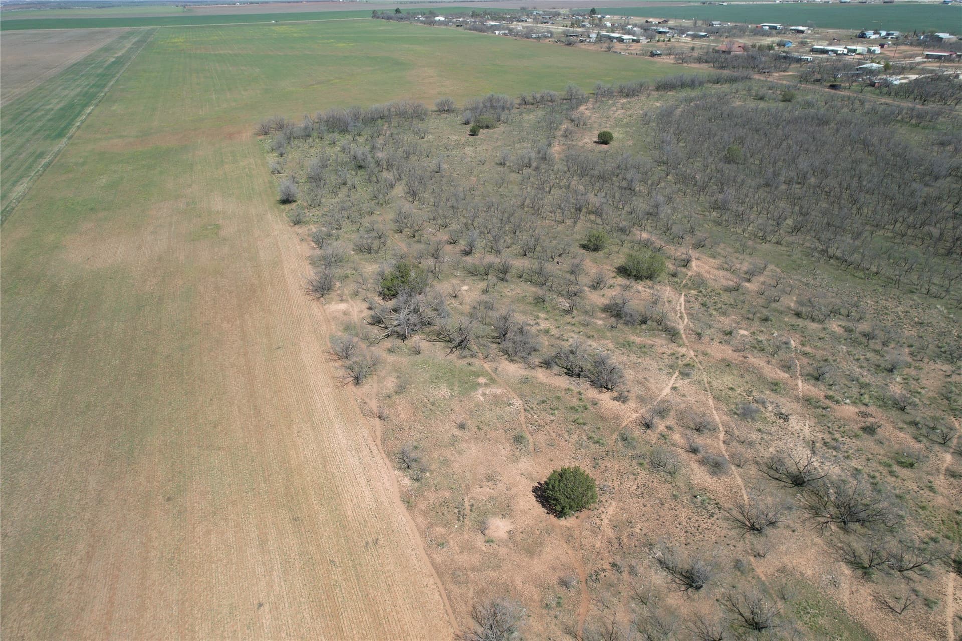 128.09 acres in Taylor County - photo 6
