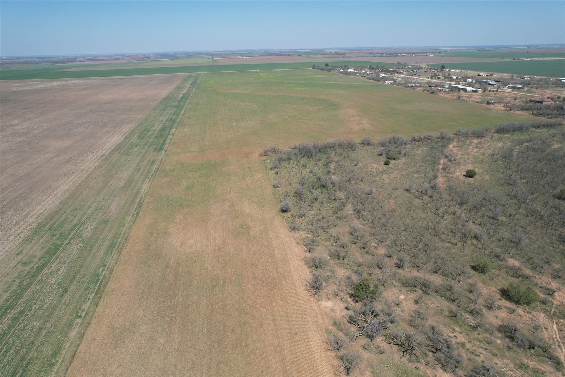 128.09 acres in Taylor County