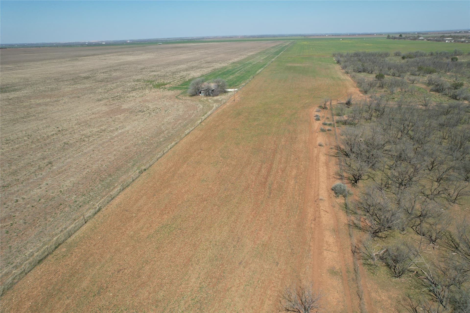 128.09 acres in Taylor County - photo 3