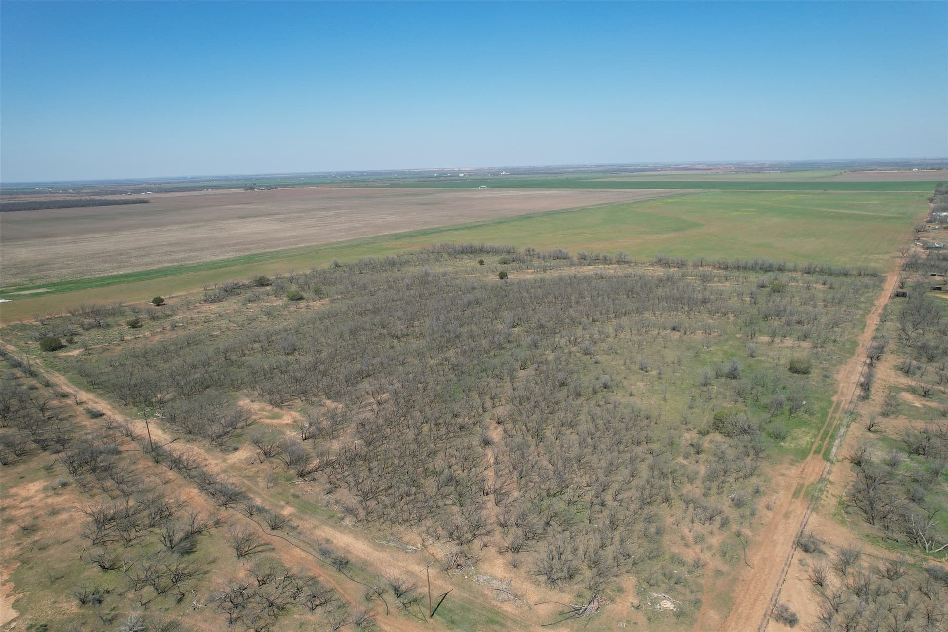 128.09 acres in Taylor County - photo 5