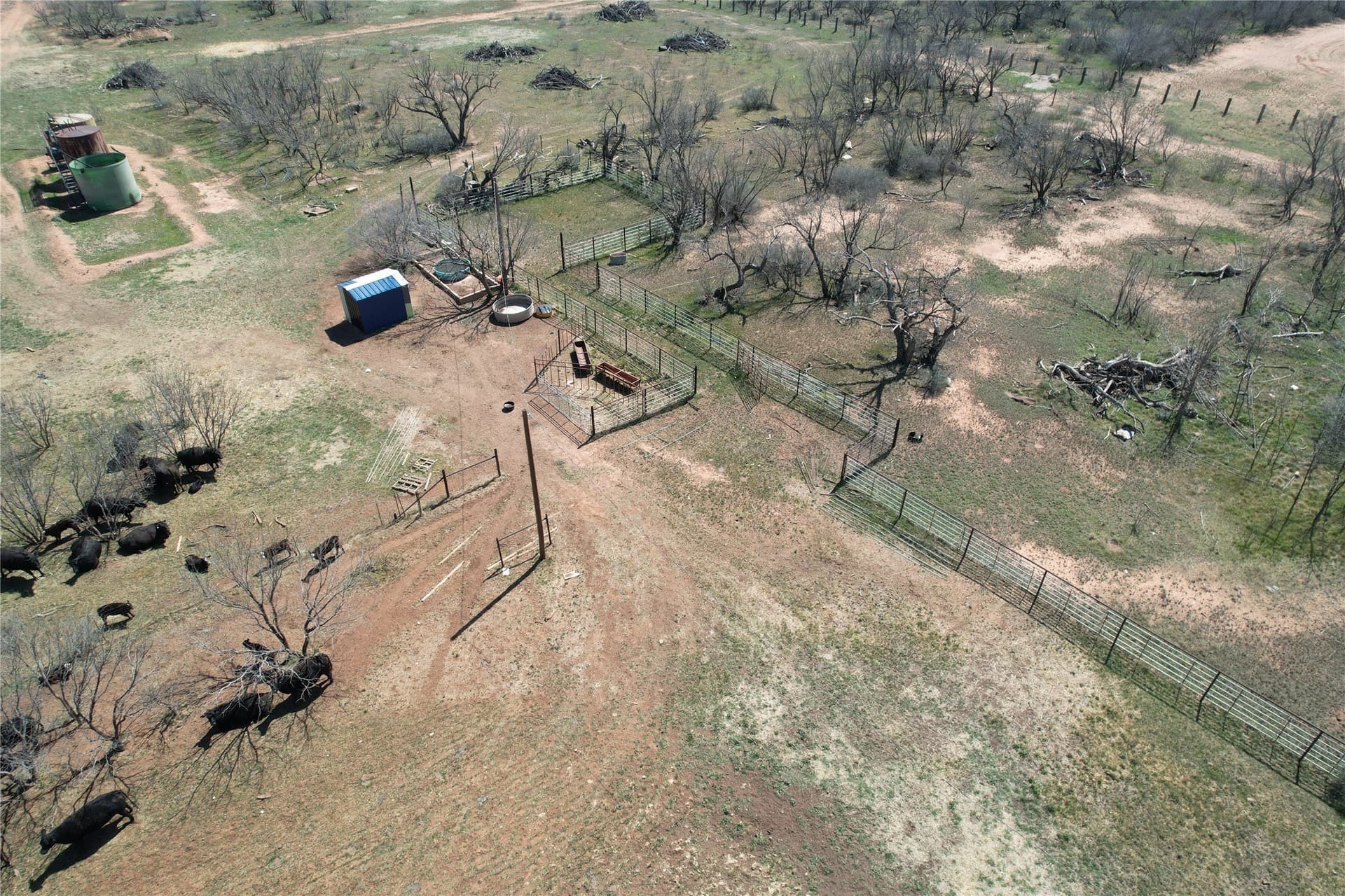128.09 acres in Taylor County - photo 8