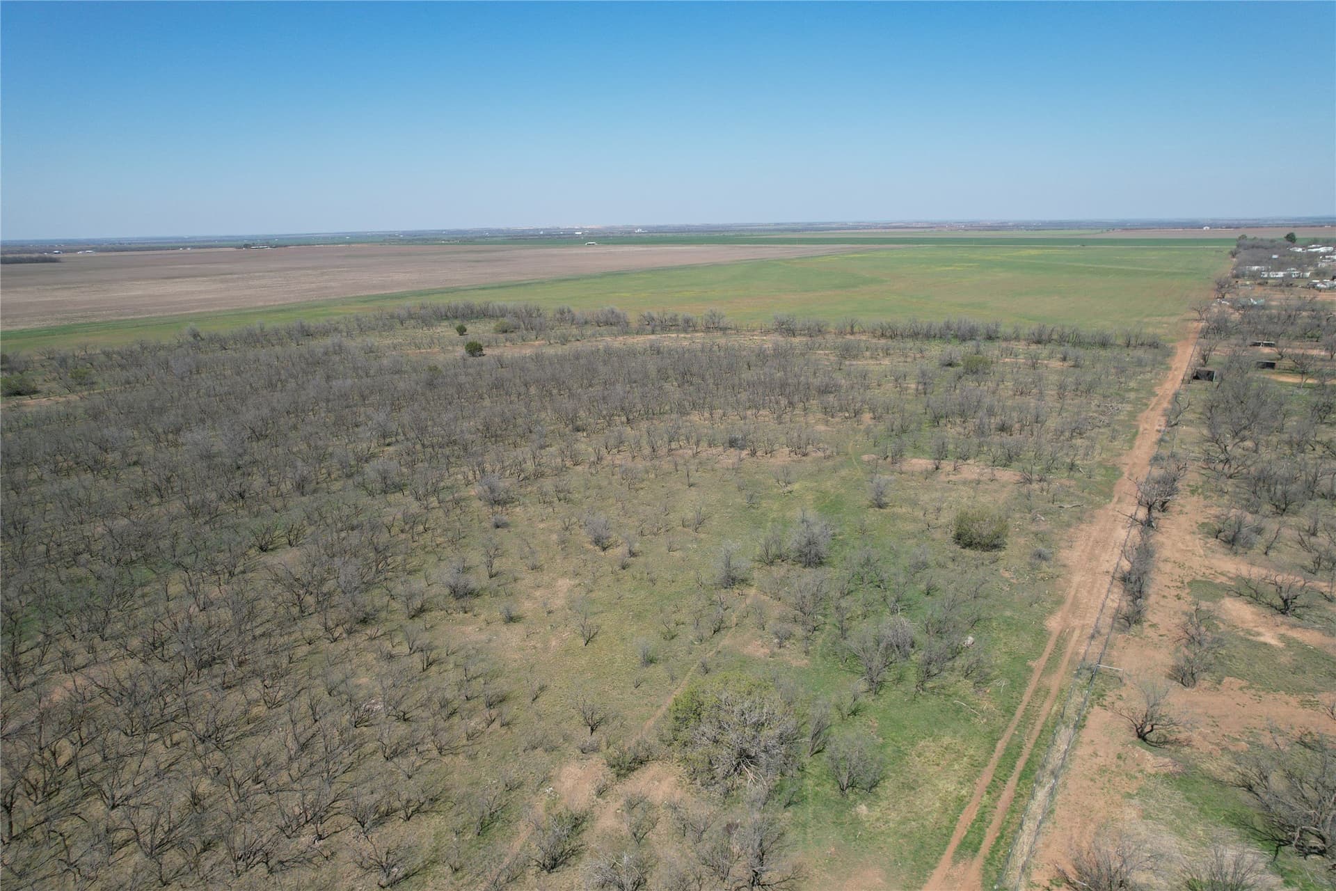 128.09 acres in Taylor County - photo 4