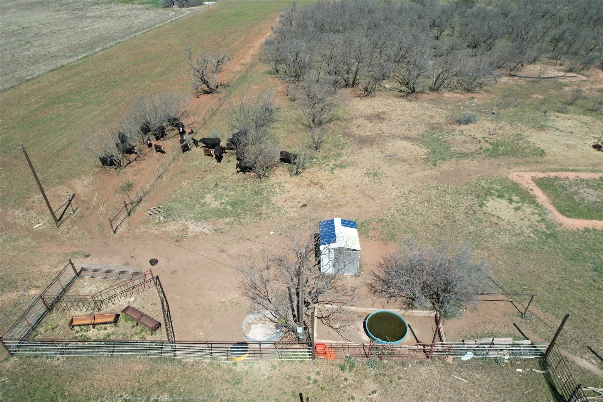 128.09 acres in Taylor County - photo 11