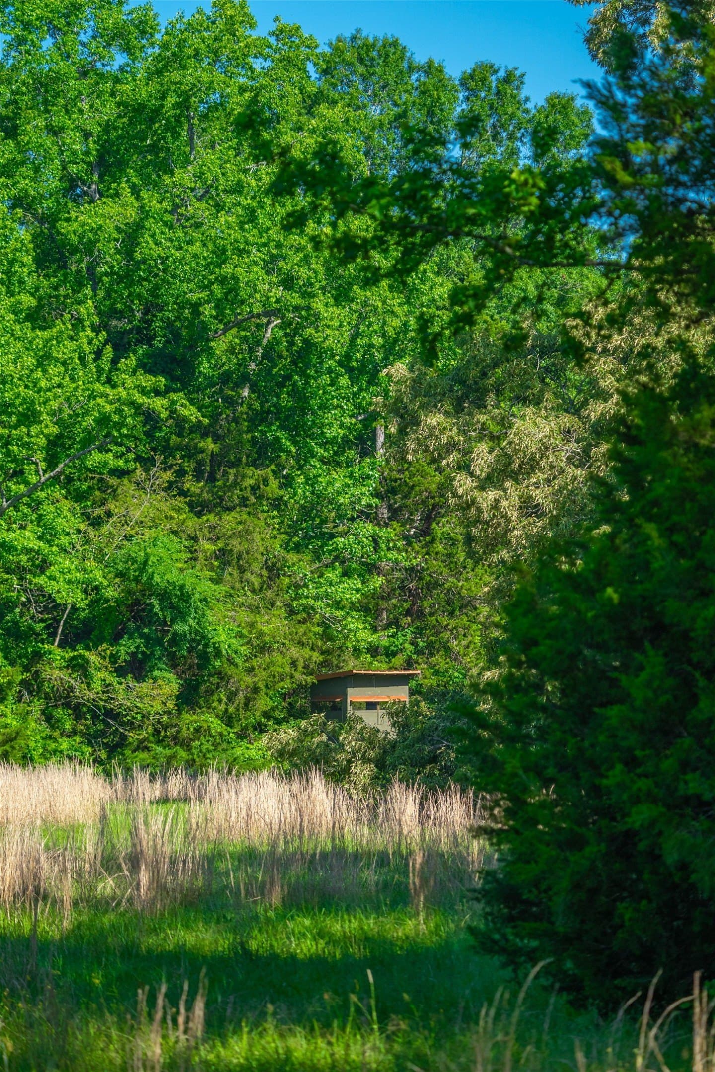 233 acres in Cass County - photo 19