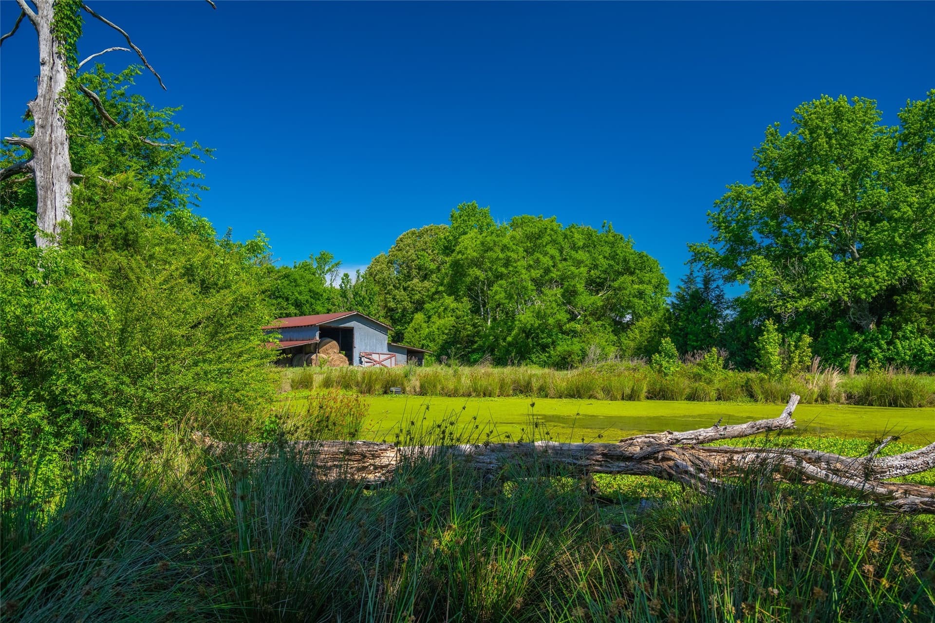 233 acres in Cass County - photo 13