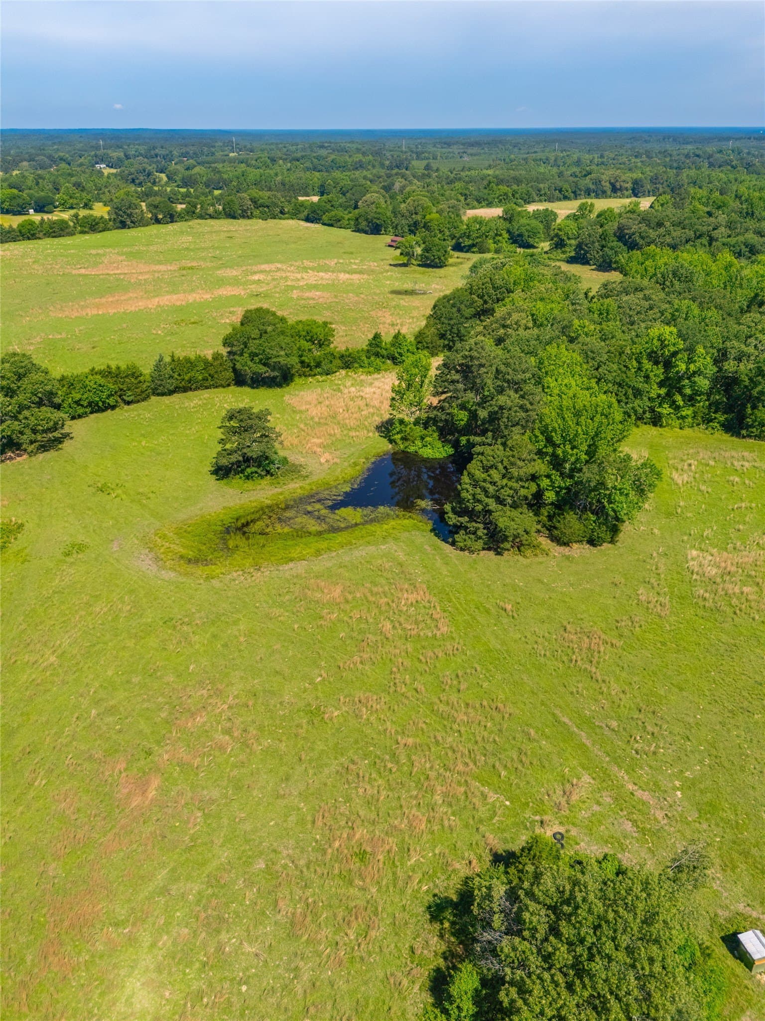 233 acres in Cass County - photo 29