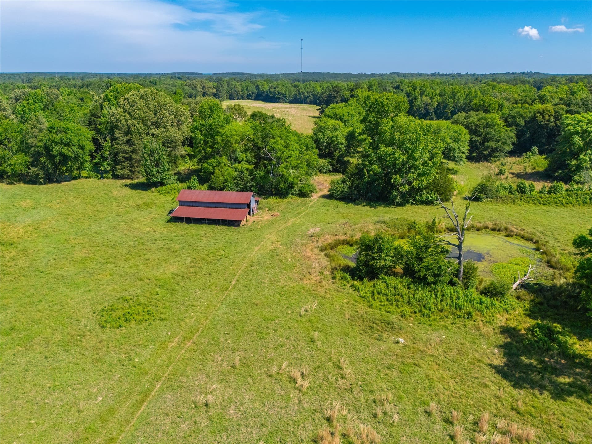 233 acres in Cass County - photo 27