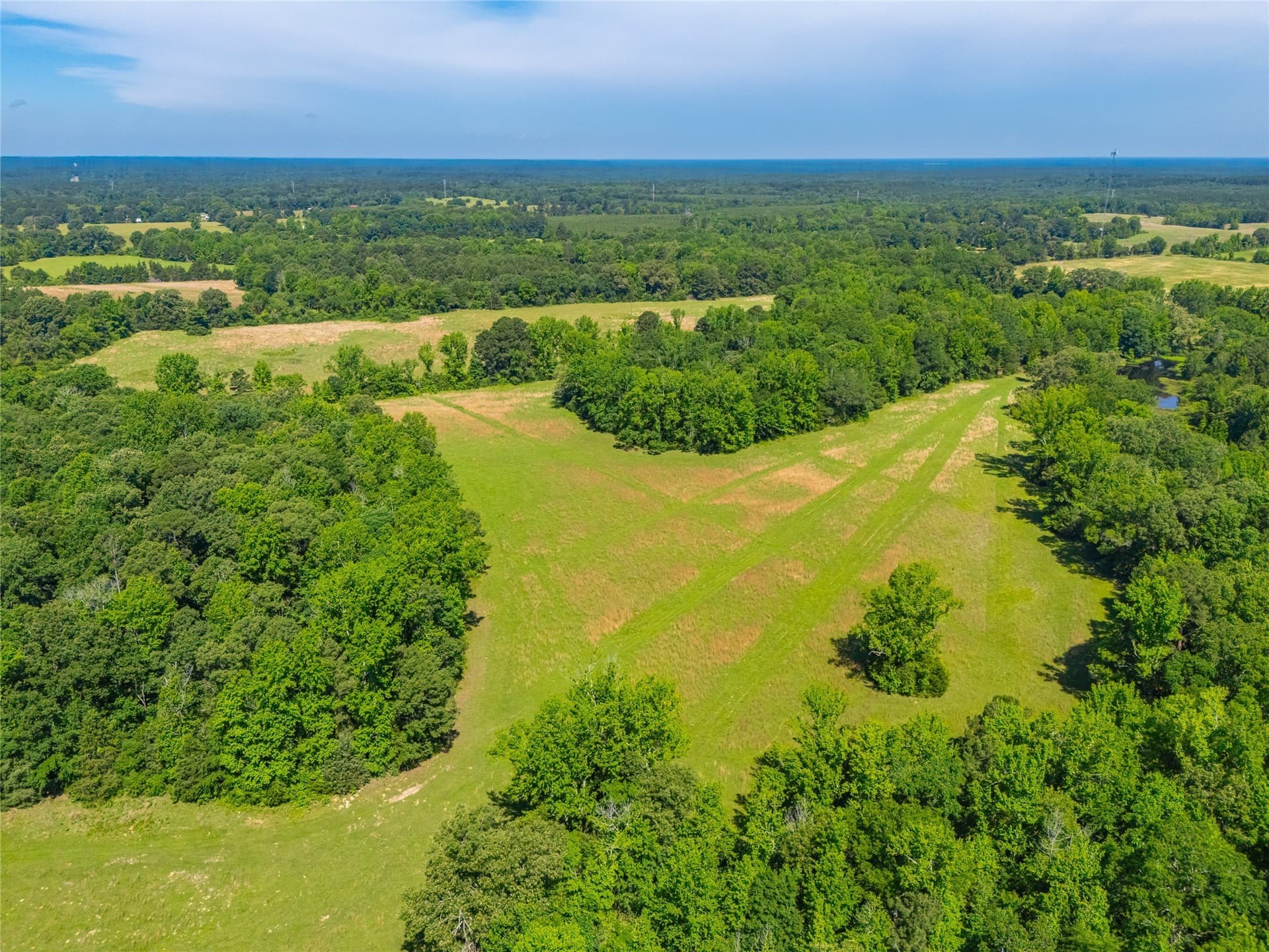 233 acres in Cass County - photo 26