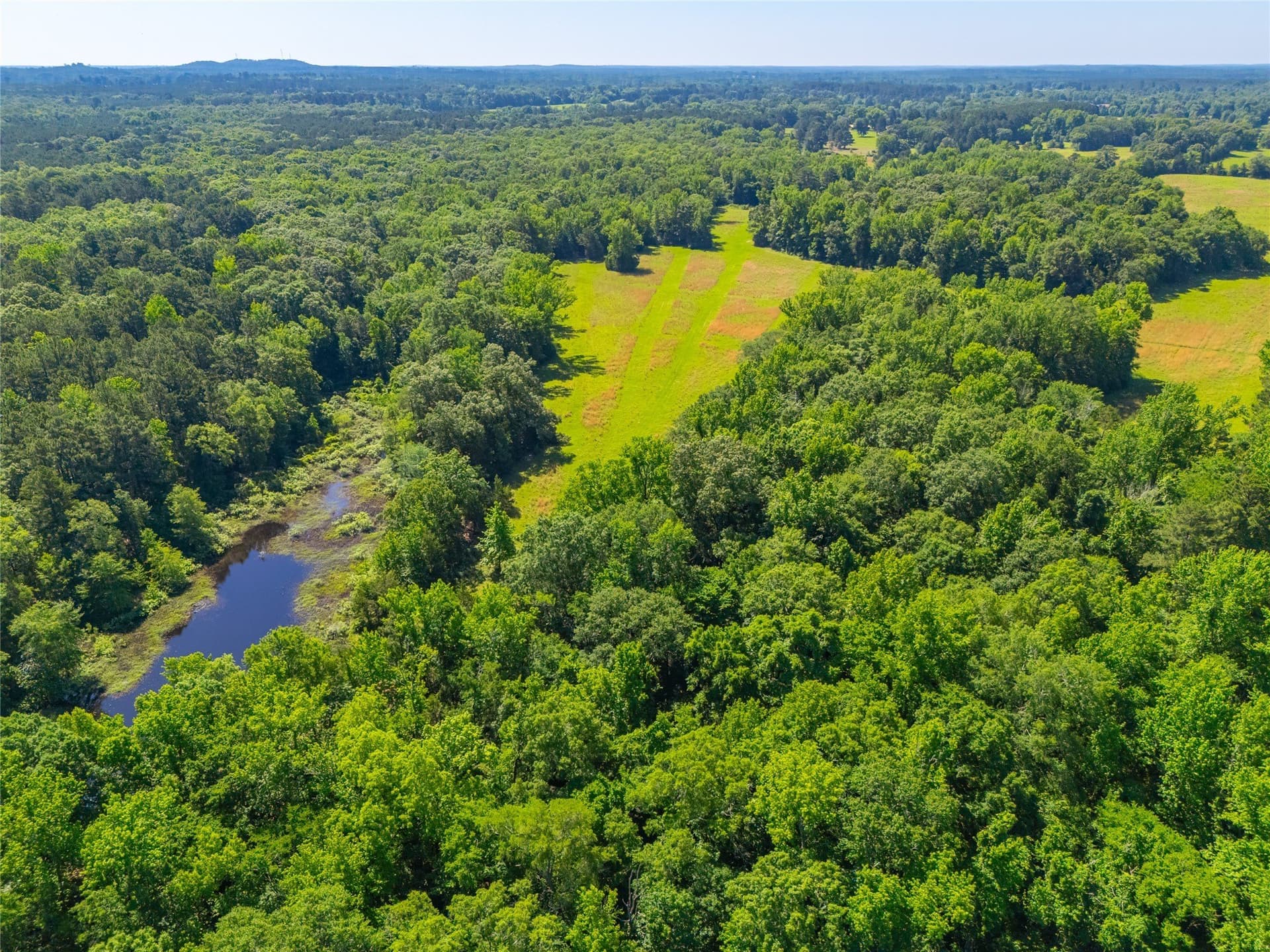 233 acres in Cass County - photo 24