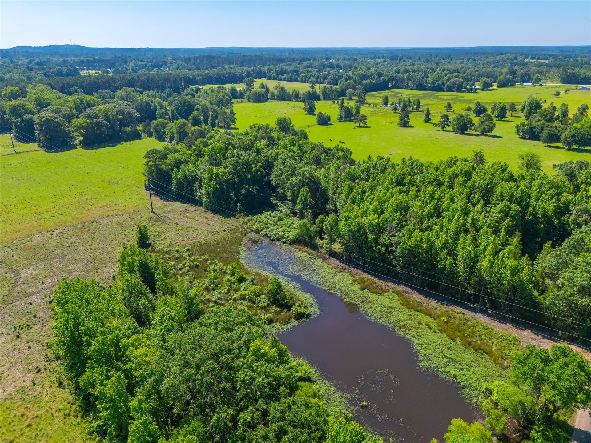 233 acres in Cass County - photo 21