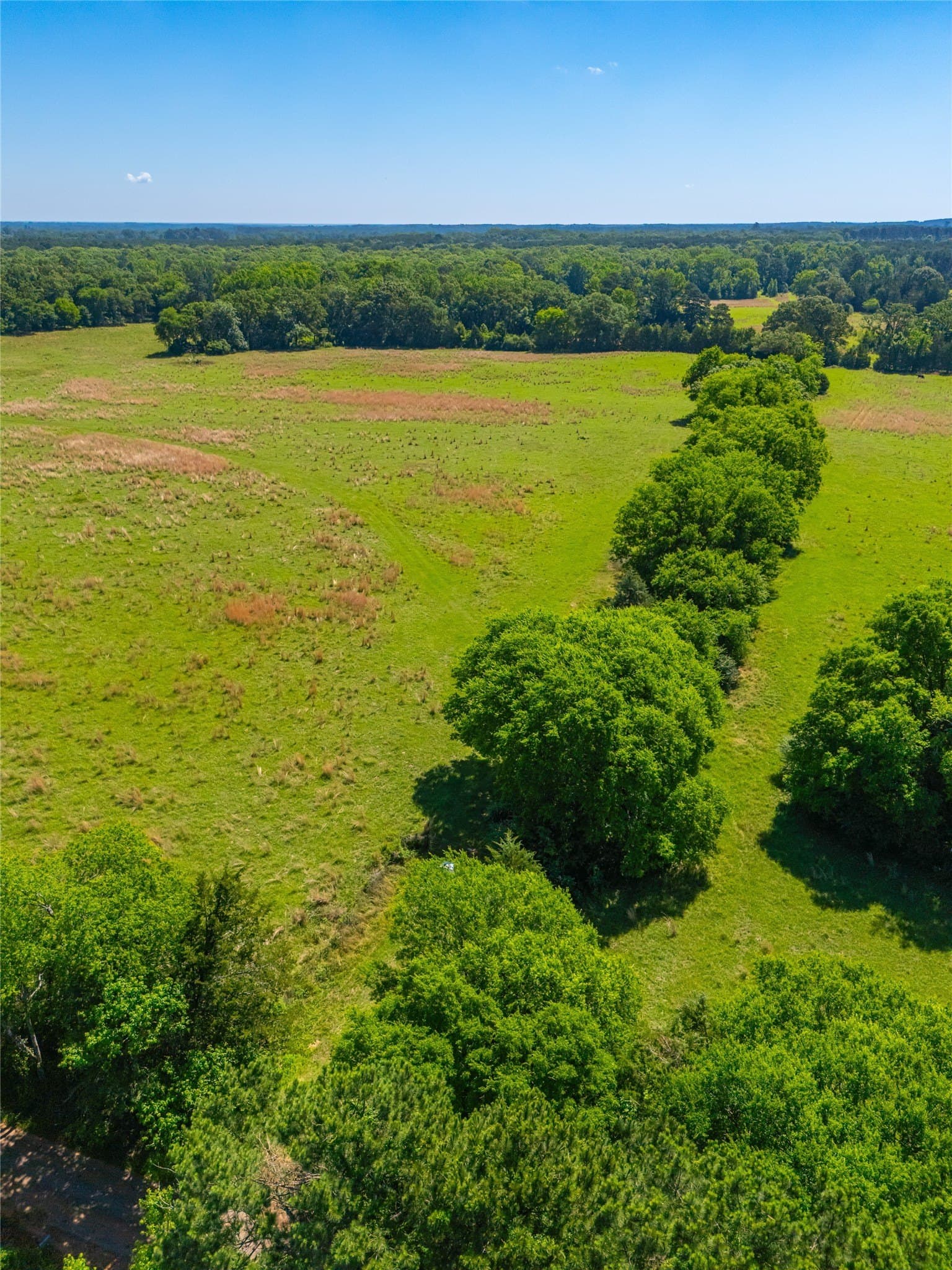 233 acres in Cass County - photo 30