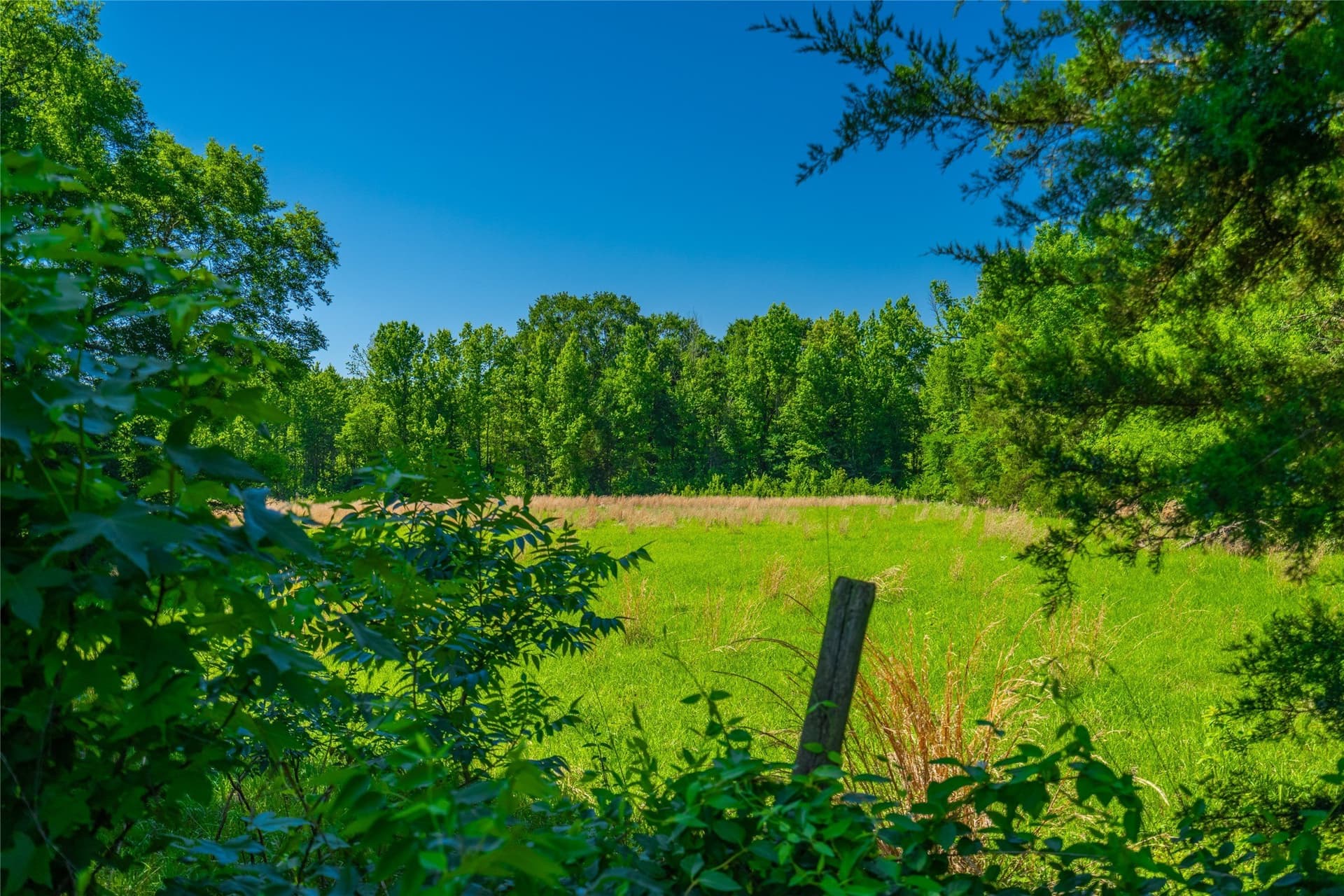 233 acres in Cass County - photo 15