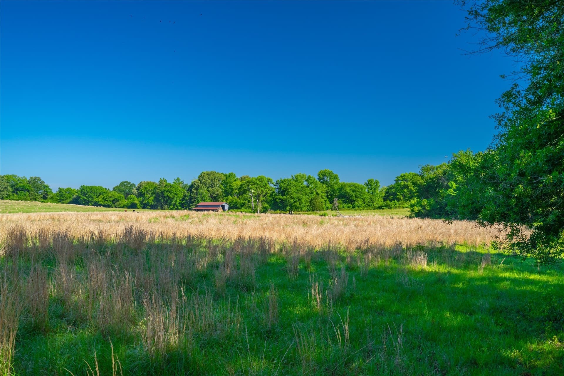 233 acres in Cass County featured view