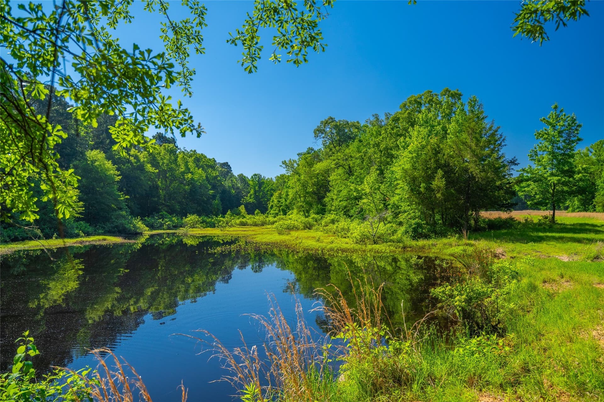 233 acres in Cass County - photo 10