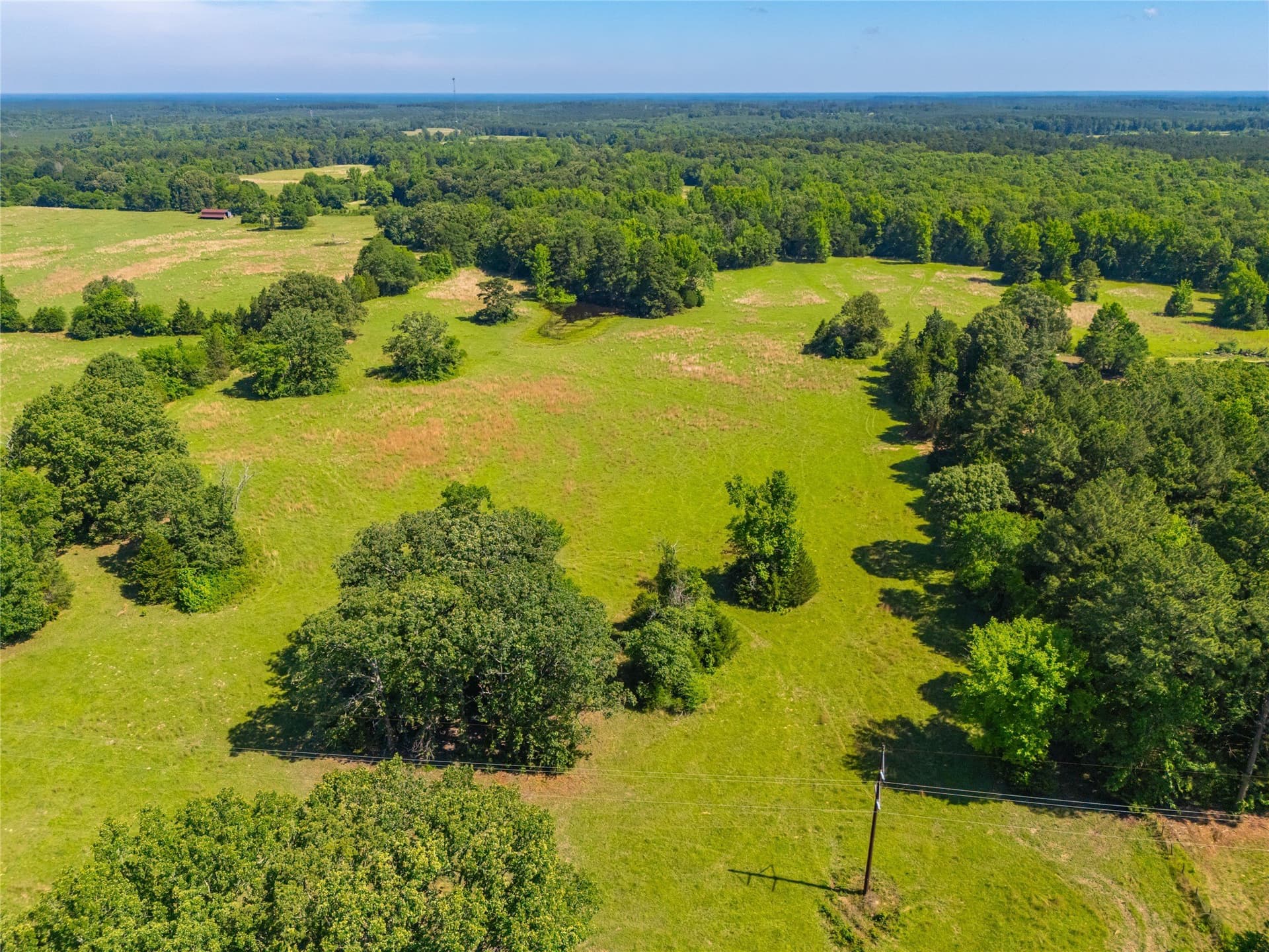 233 acres in Cass County - photo 22