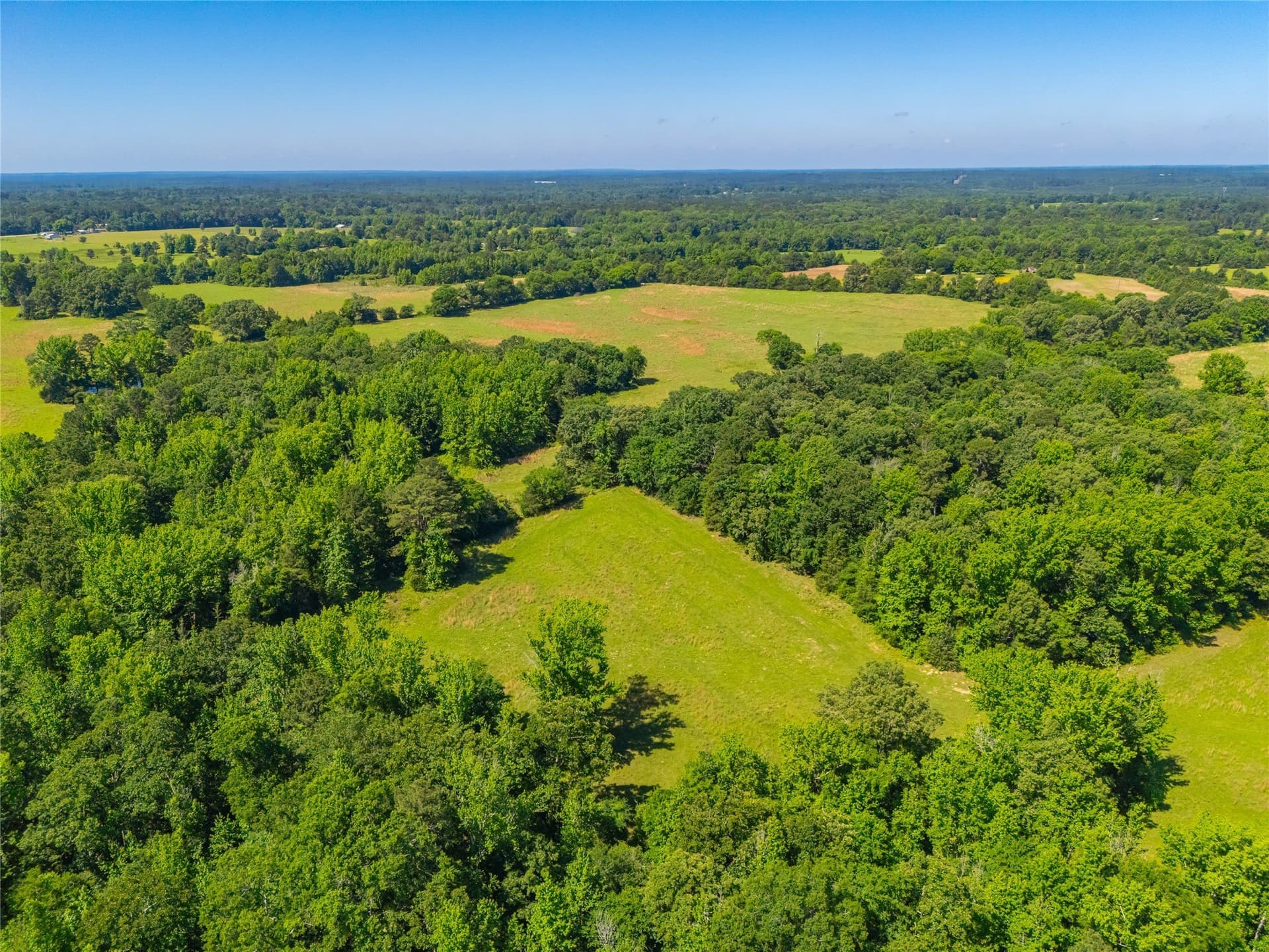 233 acres in Cass County - photo 25