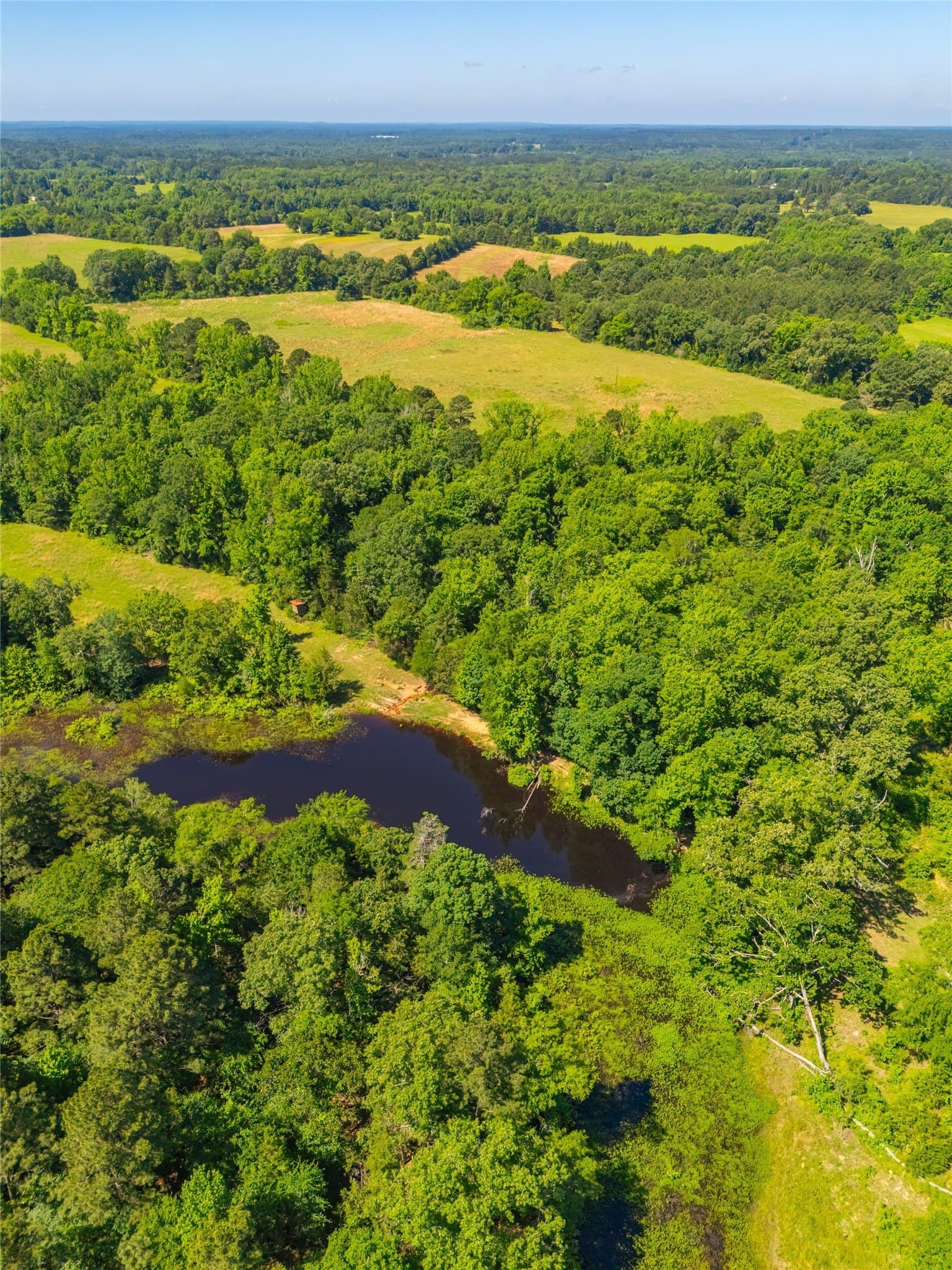 233 acres in Cass County - photo 23