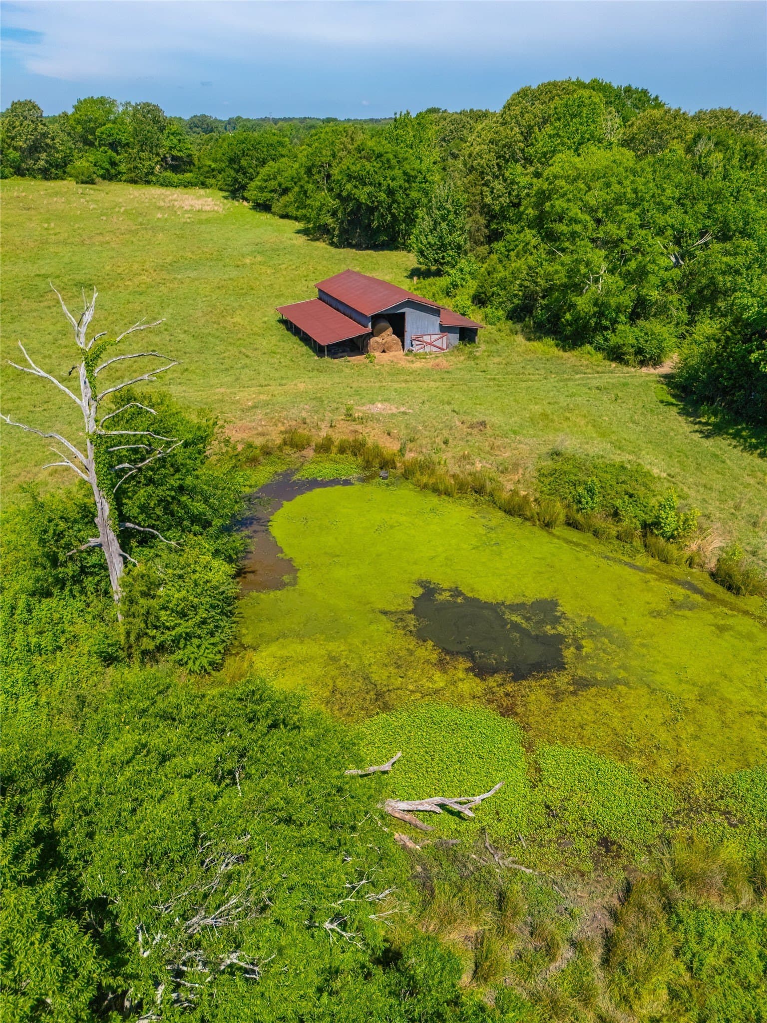 233 acres in Cass County - photo 28