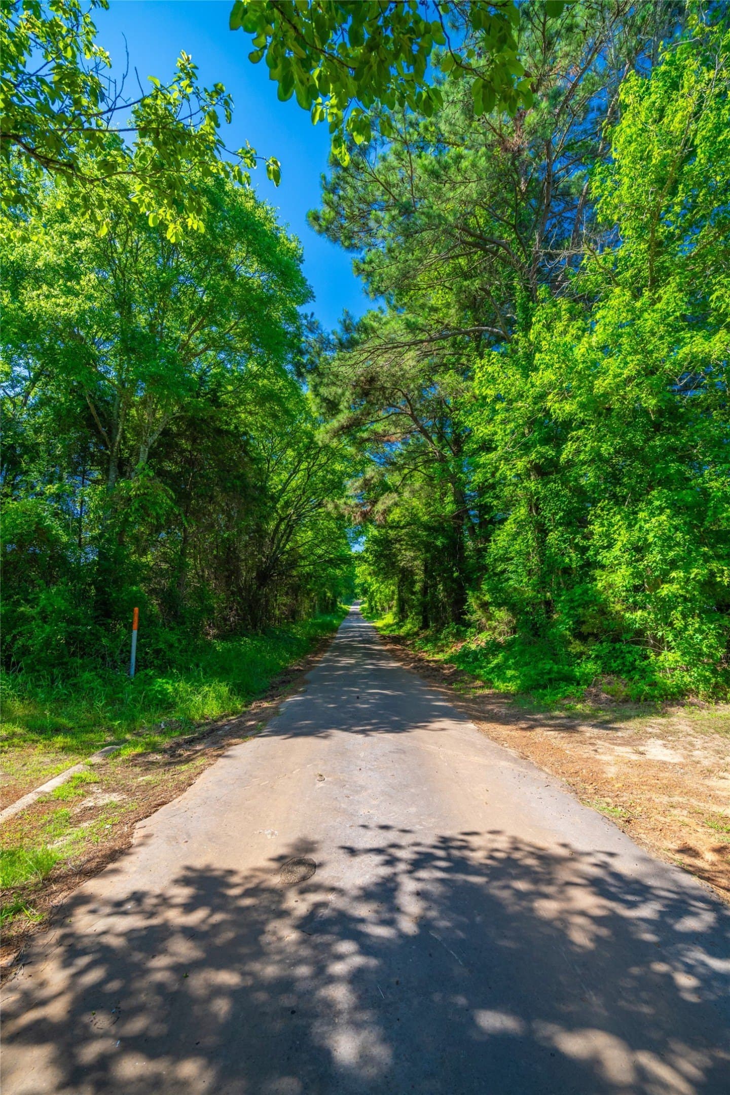 233 acres in Cass County - photo 16