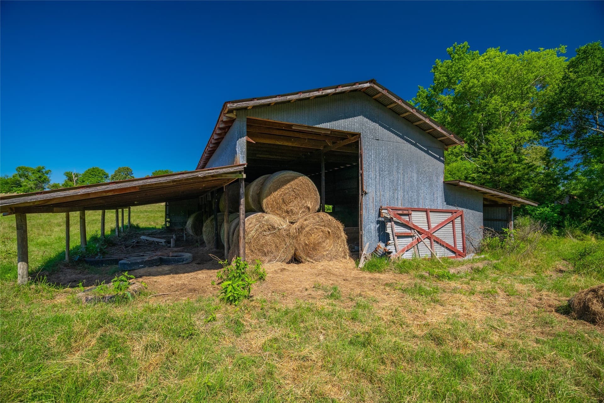 233 acres in Cass County - photo 12